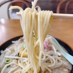 Wakayanagi Shokudou - 麺のアップです。（2023.12 byジプシーくん）