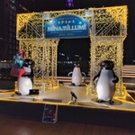 トラヤあんスタンド - お店の向かいにあるペンギン広場ではSuicaペンギンがライトアップされてます。