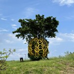 パインジュースのゆんたく - 