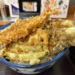 Tendon Tenya - 