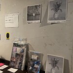 インド富士子 - 