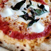 Trattoria VICINO - 