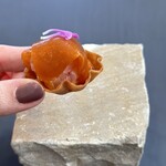 プレゼンテ スギ - 