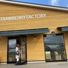 Strawberry Factory