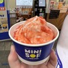 ミニソフ 横浜ポルタ店