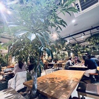 ファーマーズ キッチン_2