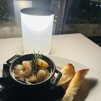 マーサーブランチ テラスハウス - 