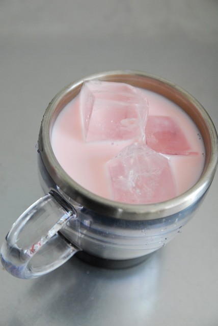 Ragdoll Nanba Ten photo 3