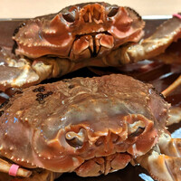 【蟹尽くしコース】～タグ付き蟹と浪速の伝統野菜を満喫～