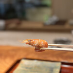 日本料理 別府 廣門 - 