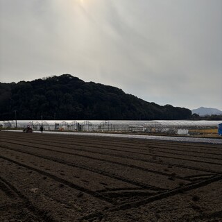 その日その時の食材から考える料理