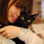 ラグドール - 黒猫はボンベイのトム君です。
