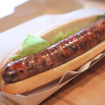 DOT HOG - プレーンドッグ☆