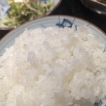 北新地 つきしろ - 御米がまた美味しい