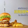 Havana Burger - 料理写真:パティ120gのグルメバーガー