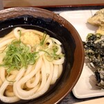 Homba Sanuki Udon Oyaji No Seimen Sho - 