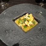 ノガラッツァ - 