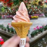 フォーゲルパーク　フローラ - 料理写真:ベゴニアソフト