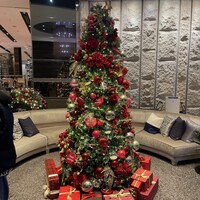 凛庭 - 