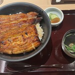 Unagi Suminobou - 