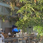 Green cafe GROUNDS - 