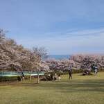 隠れ居酒屋わにのへそ - 吾妻山公園①