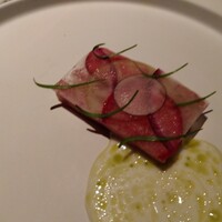 Plaiga TOKYO - 