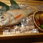 のどぐろ専門 銀座 中俣 - 