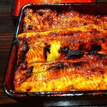 うなぎ 魚政 - うな重、ブランドうなぎ 特大