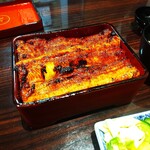 うなぎ 魚政 - うな重、ブランドうなぎ 特大