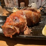 Robata Shou - 