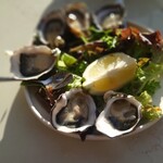 Jordon's Seafood - OYSTER NATURAL 1/2Dozen($32)