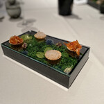 ブレストンコート ユカワタン - 