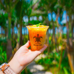 Blue Turtle Farm Mango Cafe - 