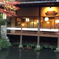 うかい鳥山 - 同じく散策中　池には立派な鯉が泳いでいます