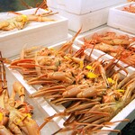 Echizenganikaisenryourisemmontemmikuniinkyojo - 市場直送！鮮度抜群の蟹のみを使用！