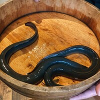 炭焼鰻 寝床 福島店 - 