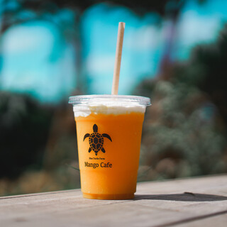 Blue Turtle Farm Mango Cafe_2