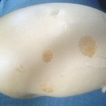 鹿港 - 黒糖まん頭