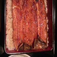 うなぎ割烹 大江戸 - うな重