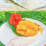 Blue Turtle Farm Mango Cafe - 料理写真: