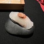 嵐山MITATE - これは、、ヒラメか?