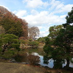 手打ちそば　極楽乃 - 