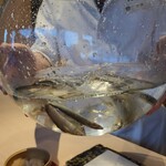 天ぷら料理 花歩 - 