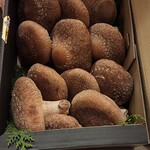 天ぷら料理 花歩 - 