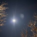 焼きもの家 慶 - 