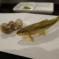 京都 天ぷら圓堂 岡ざき邸 - むかごとモロコ