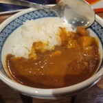 お茶の水、大勝軒 - ミニカレー