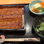 Unagi Hommaru - 