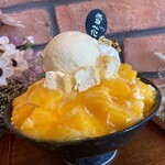 本格ピンス専門店 solfa - 